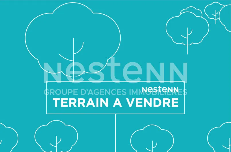 Terrain