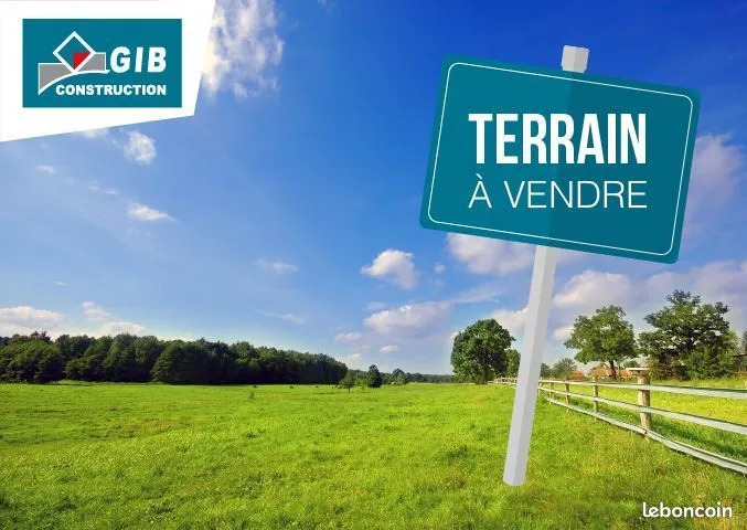 Terrain