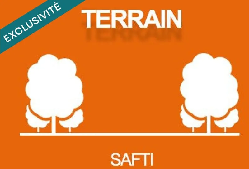 Terrain