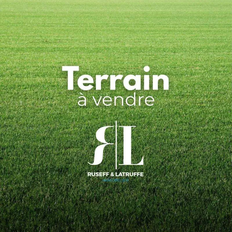 Terrain