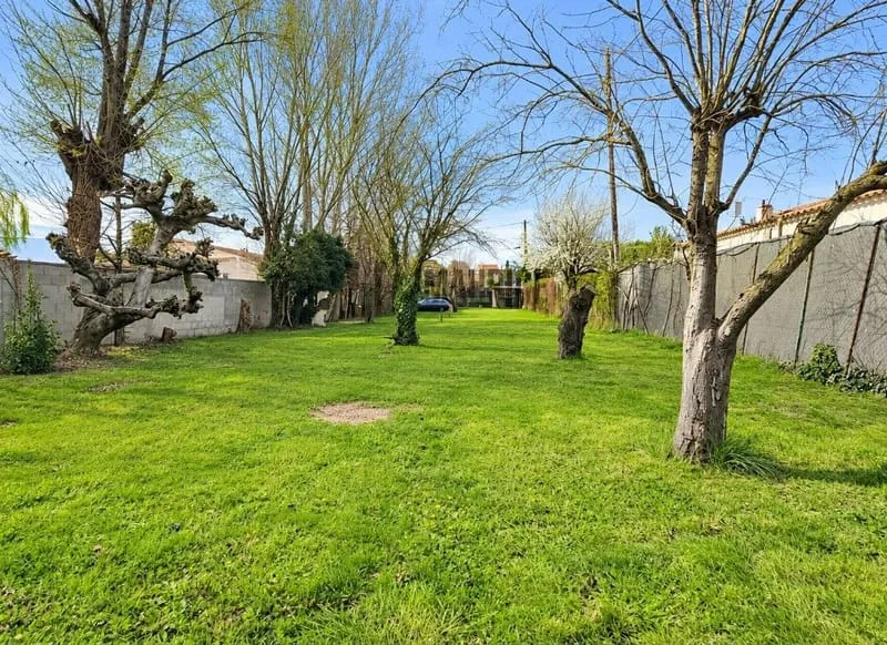 Terrain