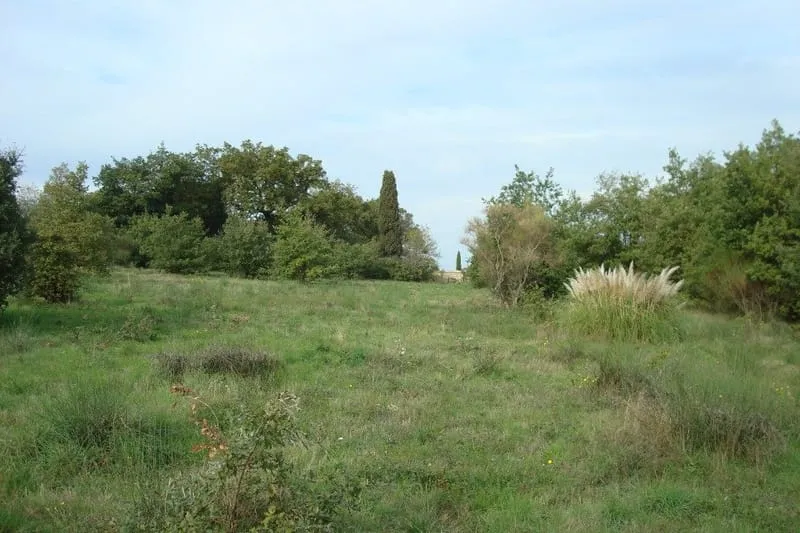 Terrain