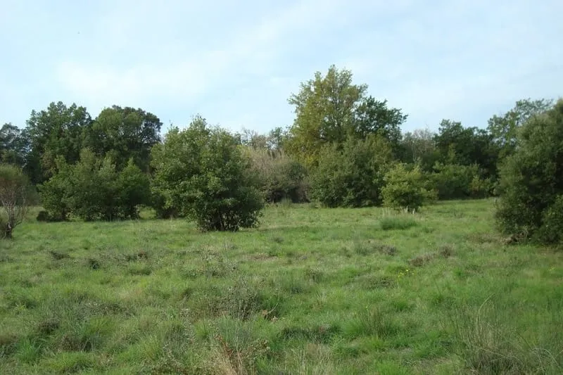 Terrain