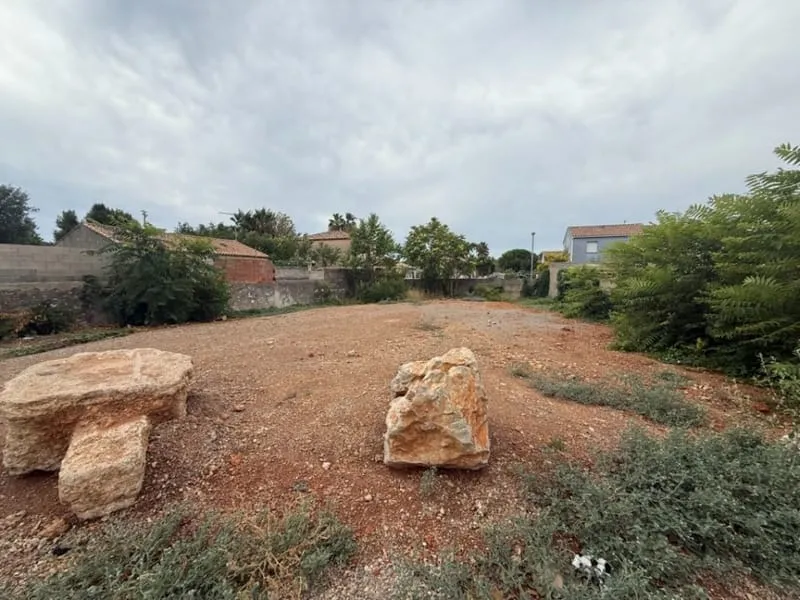 Terrain