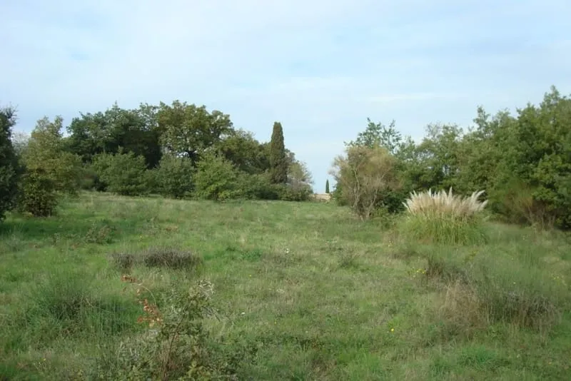 Terrain