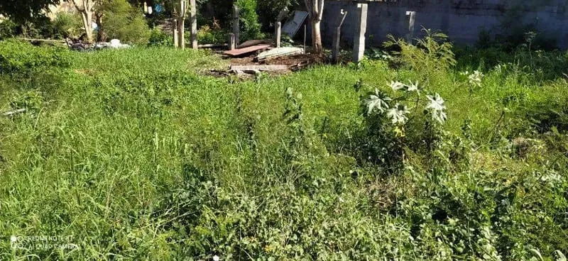 Terrain