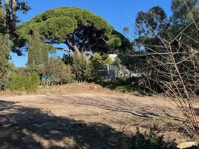 Terrain