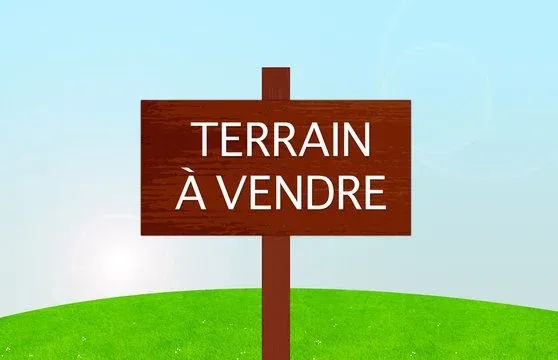 Terrain
