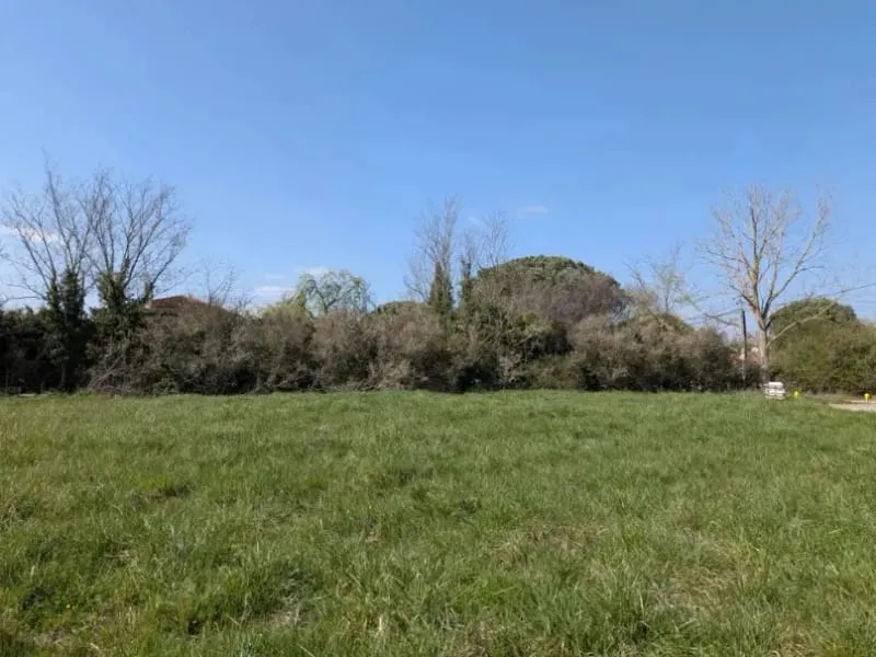Terrain