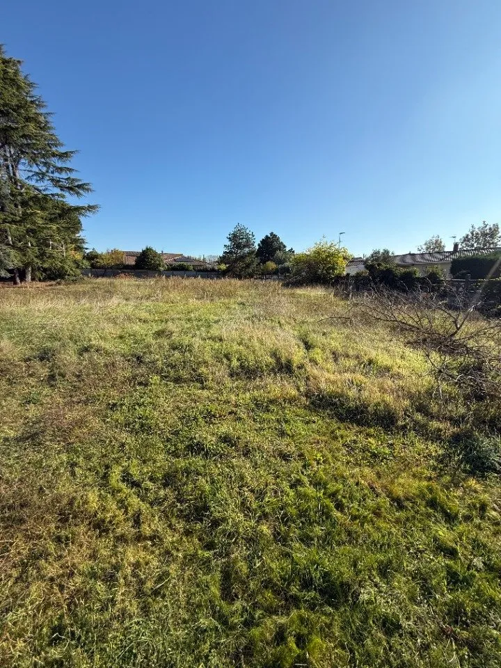 Terrain