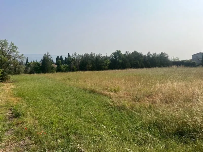 Terrain