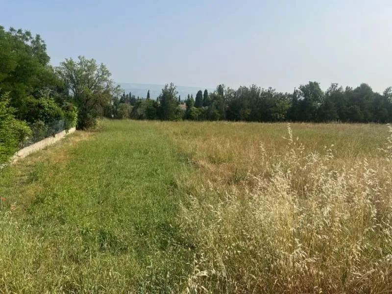 Terrain