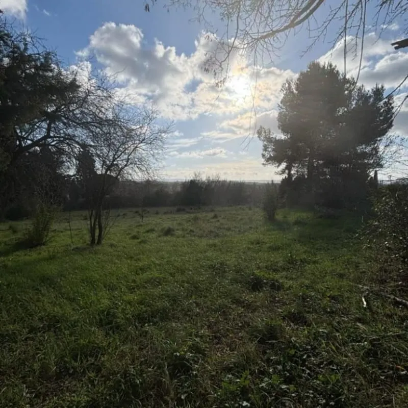 Terrain
