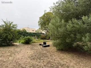 Terrain
