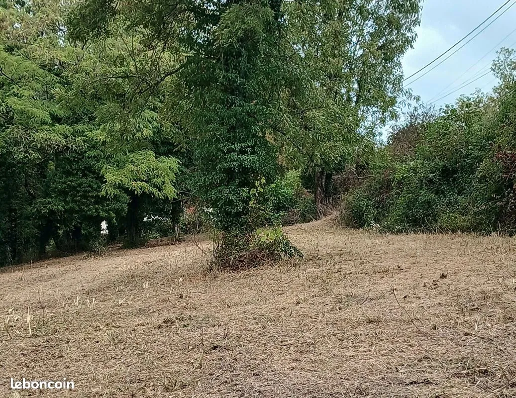 Terrain
