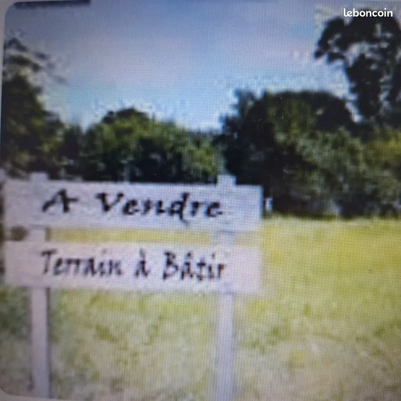 Terrain