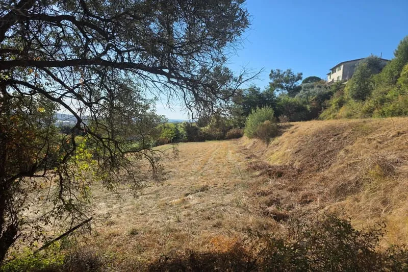 Terrain