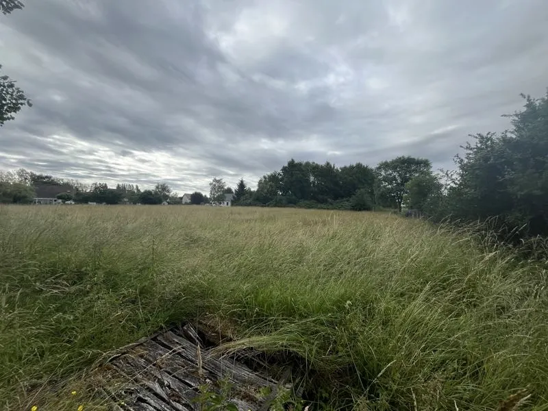 Terrain