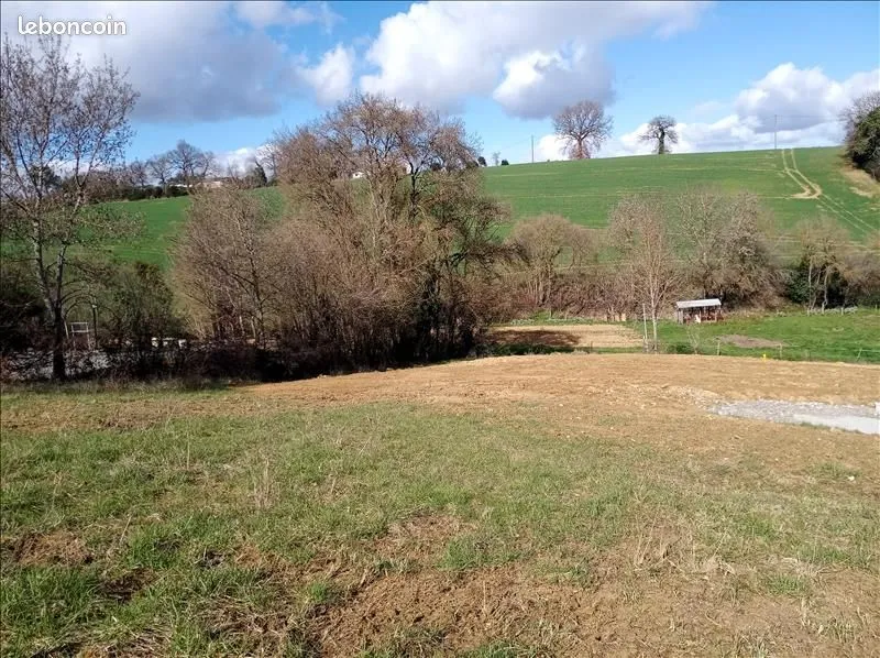 Terrain