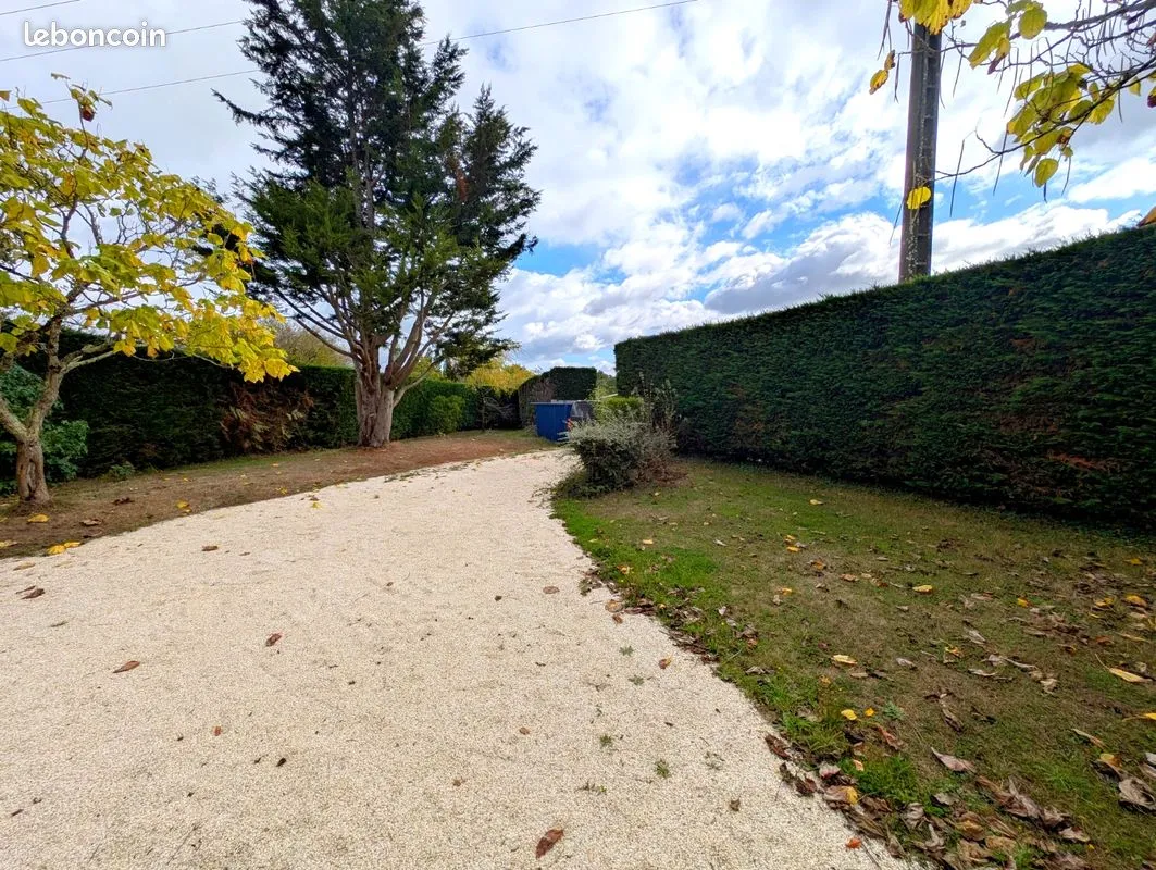 Terrain