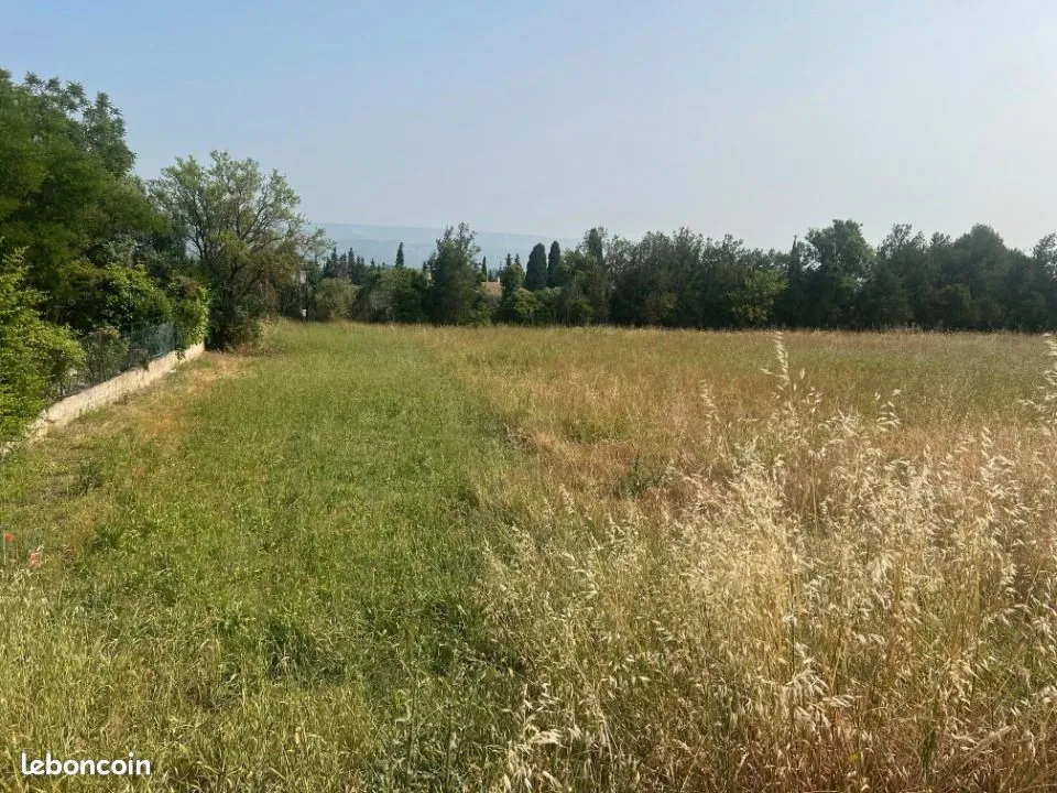 Terrain