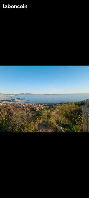 Terrain