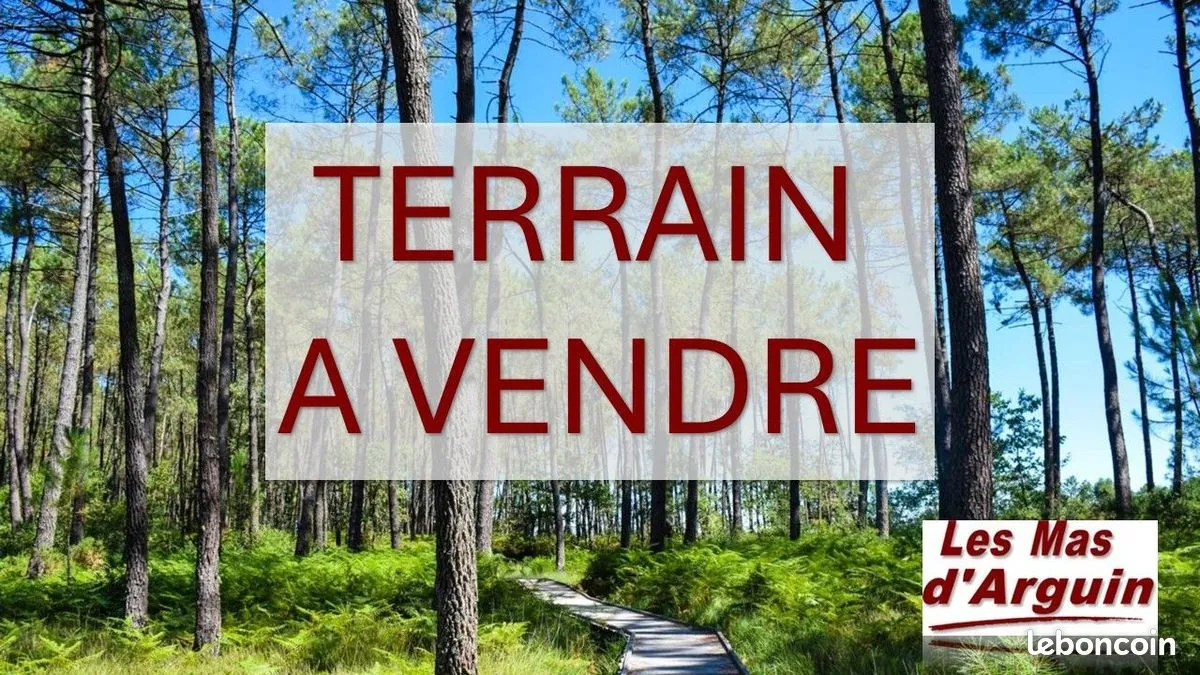 Terrain