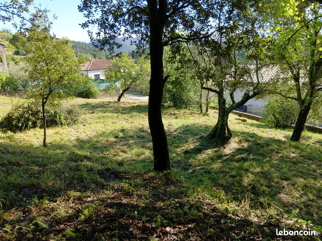 Terrain