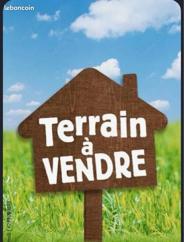 Terrain