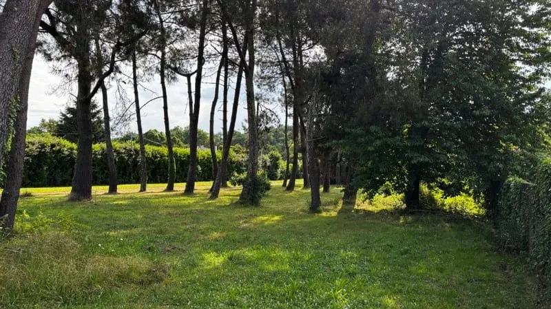 Terrain