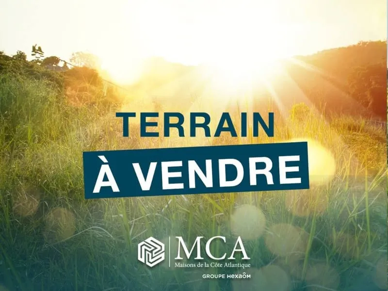 Terrain