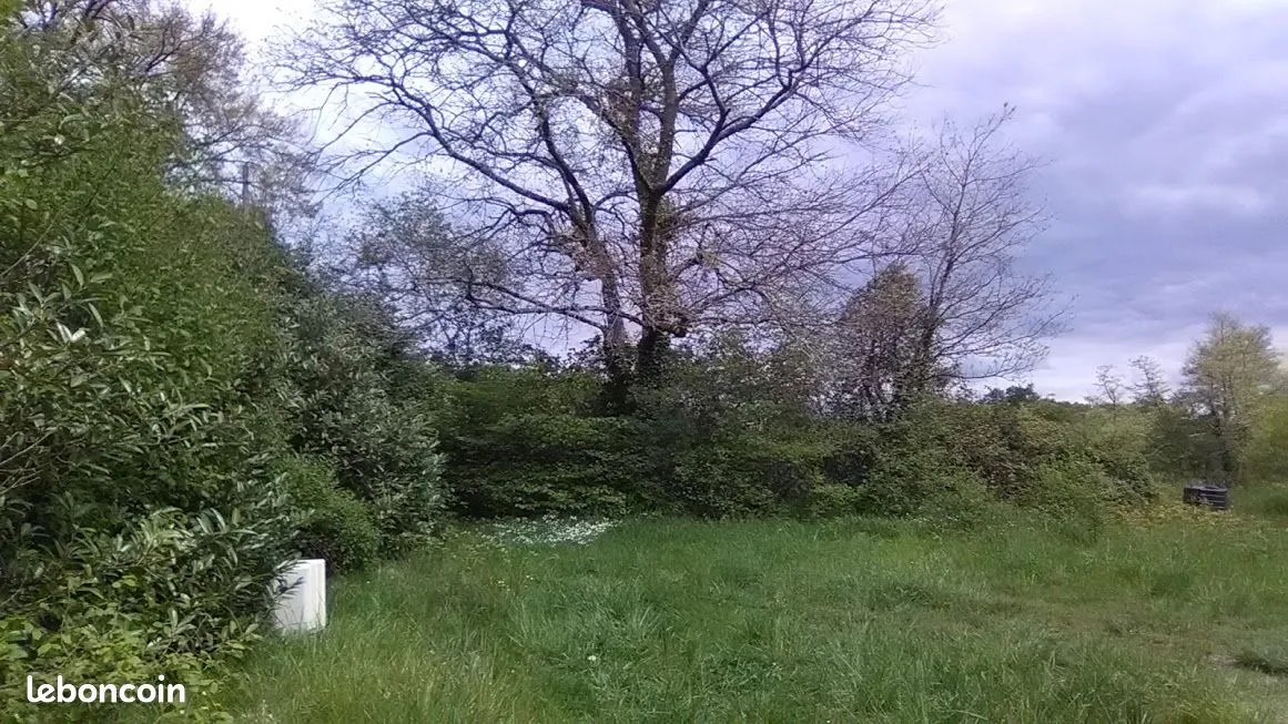 Terrain