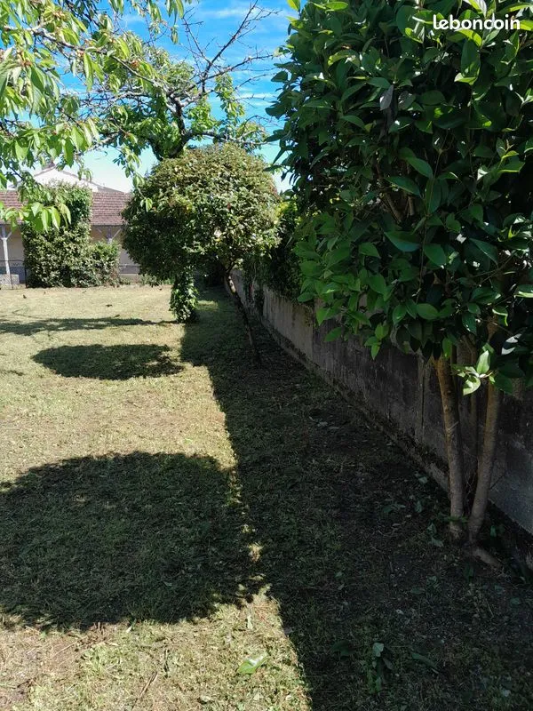 Terrain