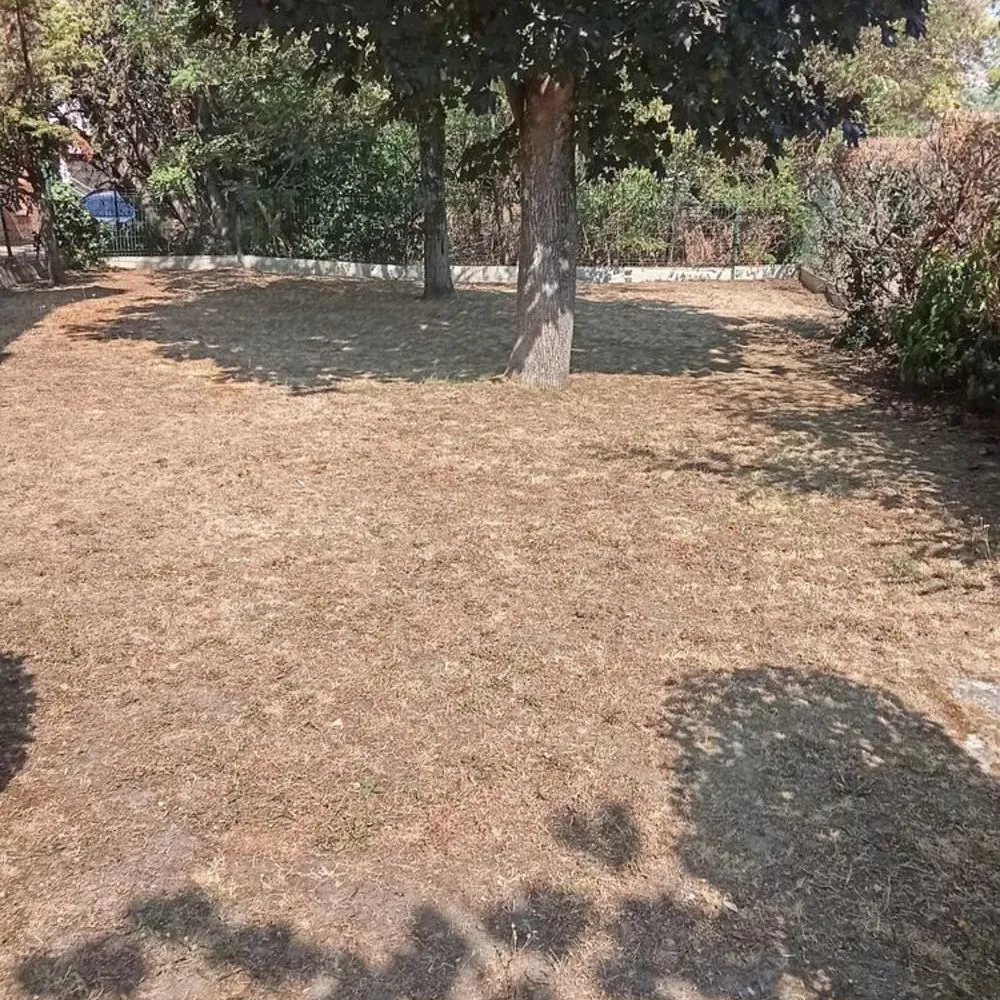Terrain