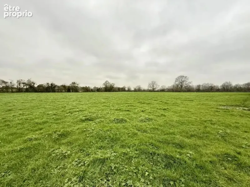 Terrain