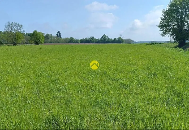 Terrain