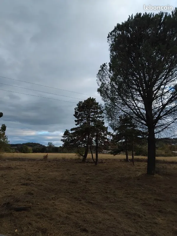 Terrain