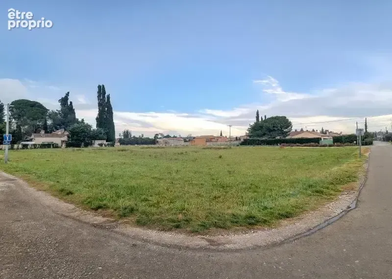 Terrain