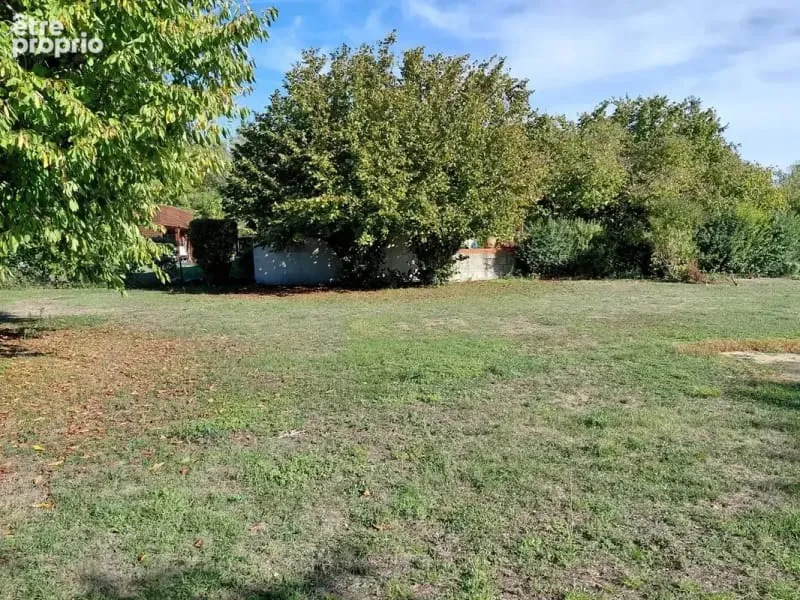Terrain