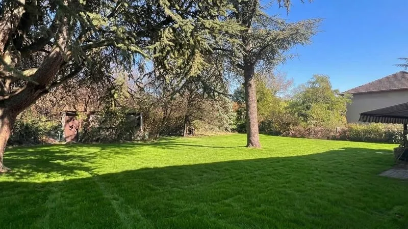 Terrain