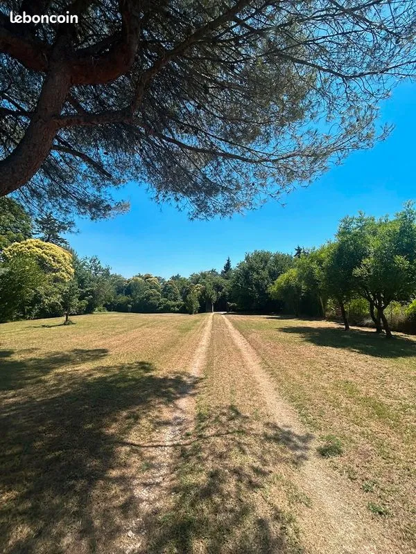 Terrain