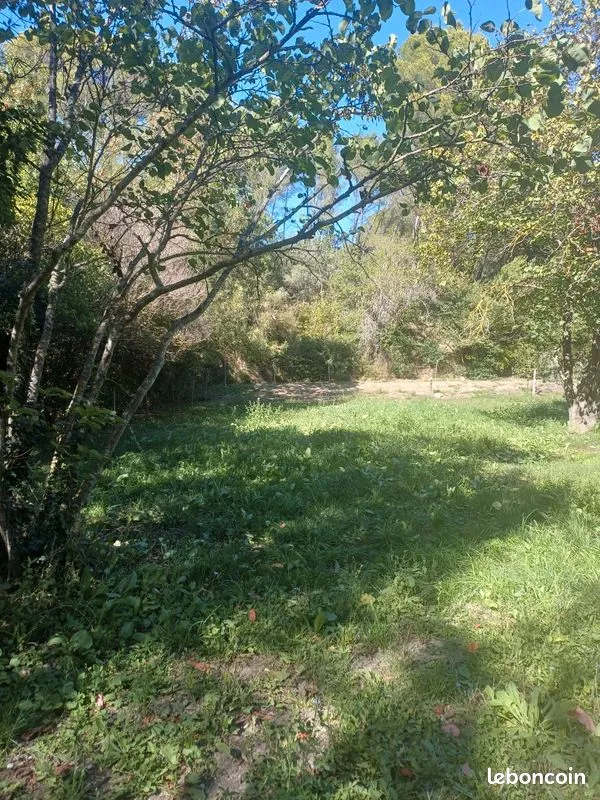 Terrain