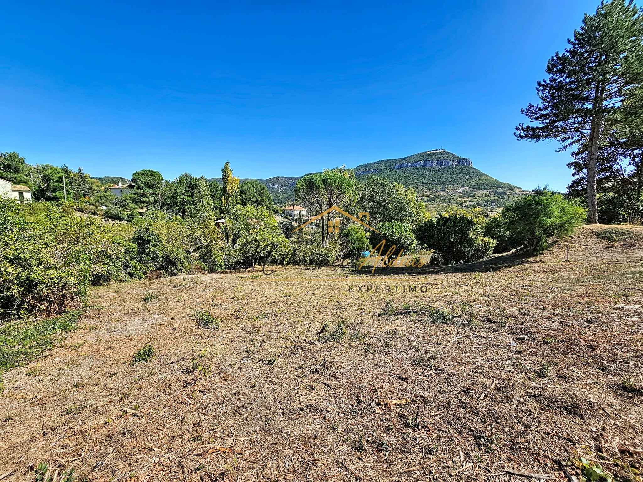Terrain