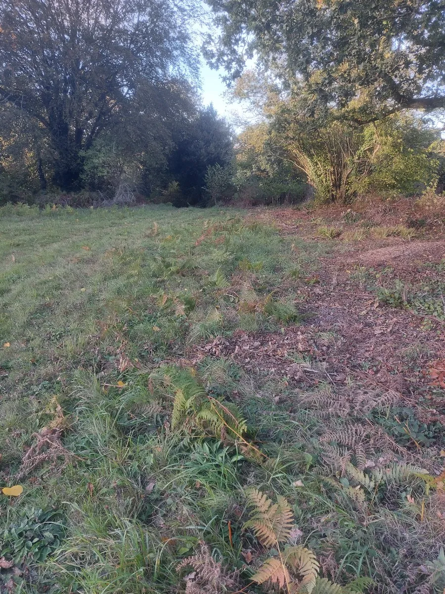 Terrain