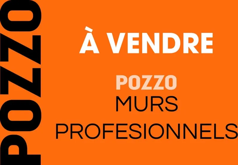 Local d'activité