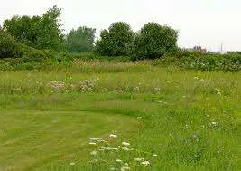 Terrain