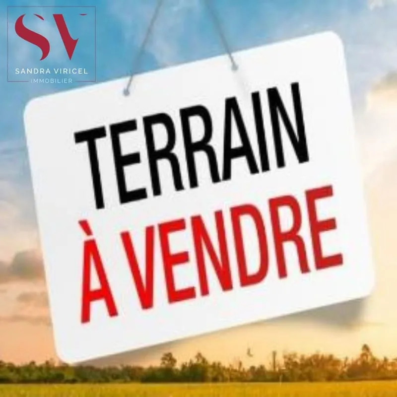 Terrain