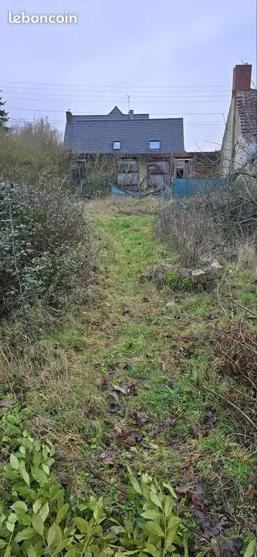 Terrain