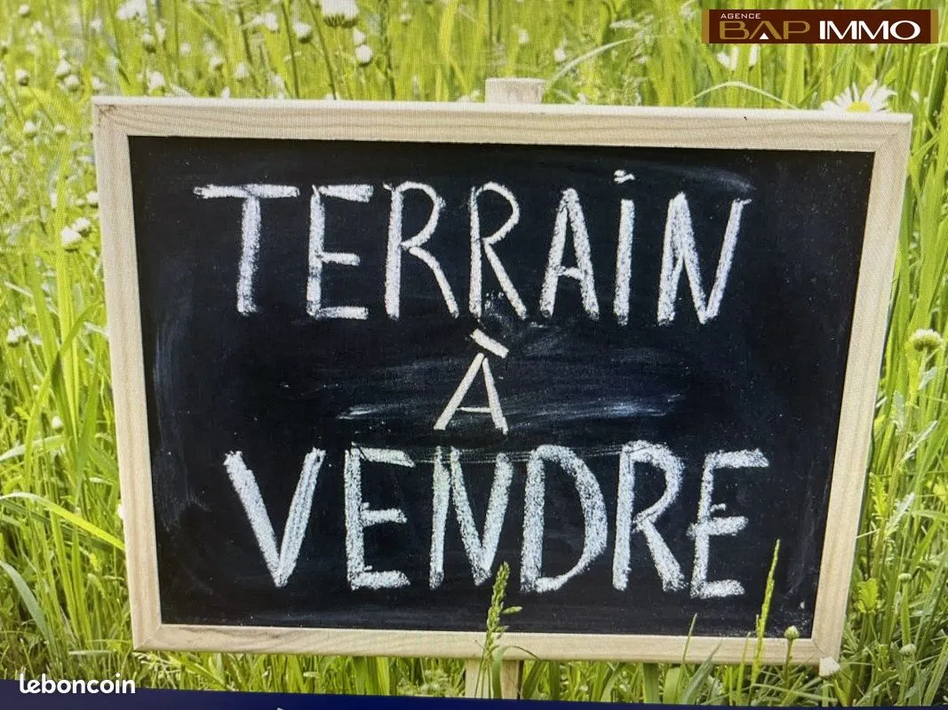 Terrain