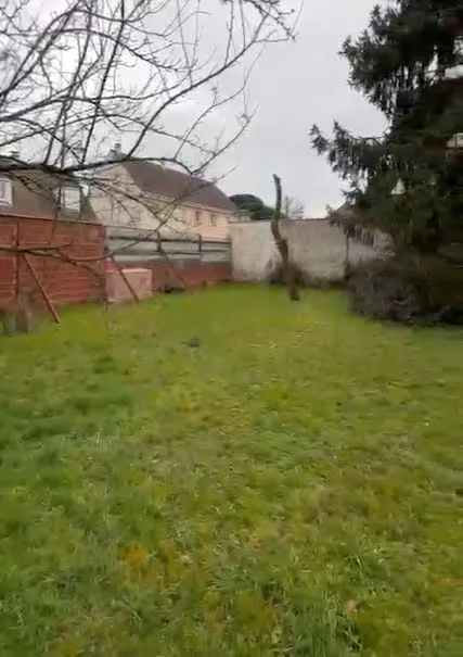 Terrain